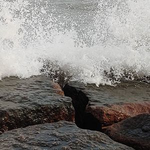 Meet your Posher, Joann